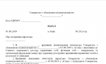 img document