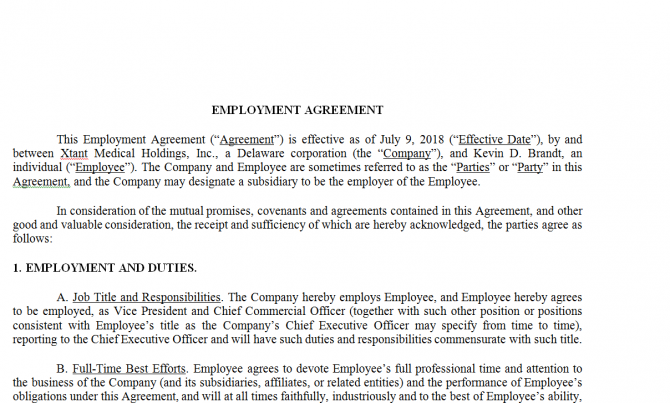 Employment Agreement. Робочий зразок №4
