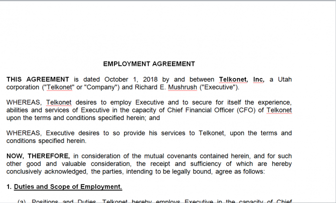 Employment Agreement. Робочий зразок №7