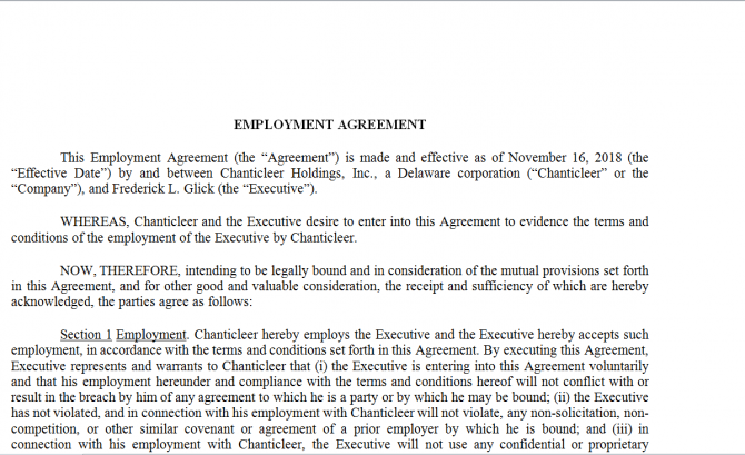 Employment Agreement. Робочий зразок №8