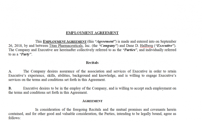 Employment Agreement. Робочий зразок №9 зображення 1
