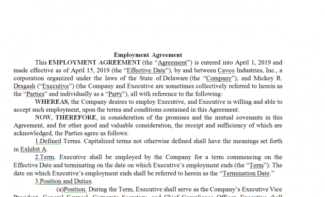 Employment Agreement. Робочий зразок №11