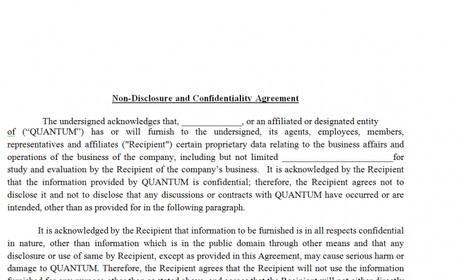 Non-Disclosure Agreement. Робочий зразок №28