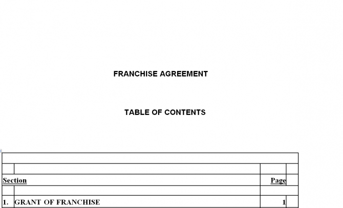 Franchise agreement. Робочий зразок №7