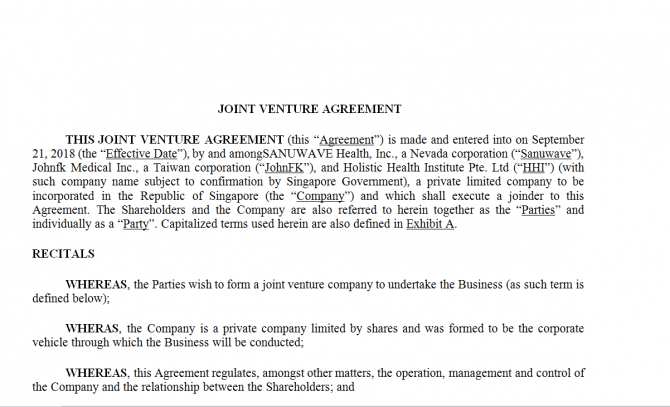 Joint Venture Agreement. Робочий зразок №1 зображення 1
