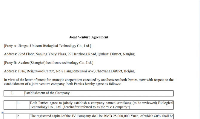 Joint Venture Agreement. Робочий зразок №3 изображение 1