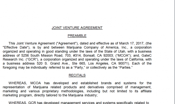 Joint Venture Agreement. Робочий зразок №6