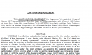 Joint Venture Agreement. Робочий зразок №7 изображение 1