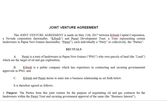 Joint Venture Agreement. Робочий зразок №9