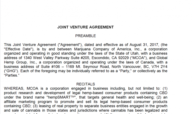 Joint Venture Agreement. Робочий зразок №12