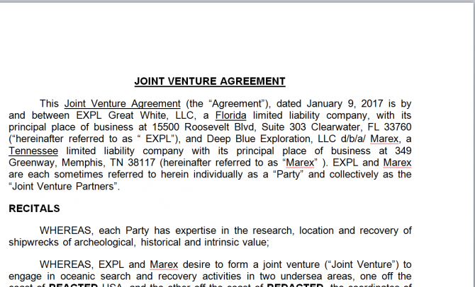 Joint Venture Agreement. Робочий зразок №13