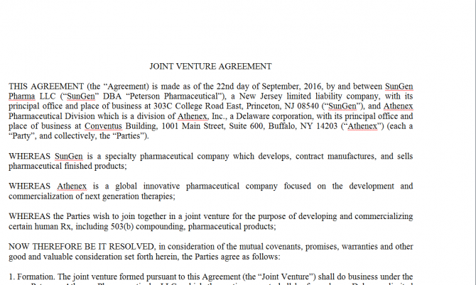 Joint Venture Agreement. Робочий зразок №15