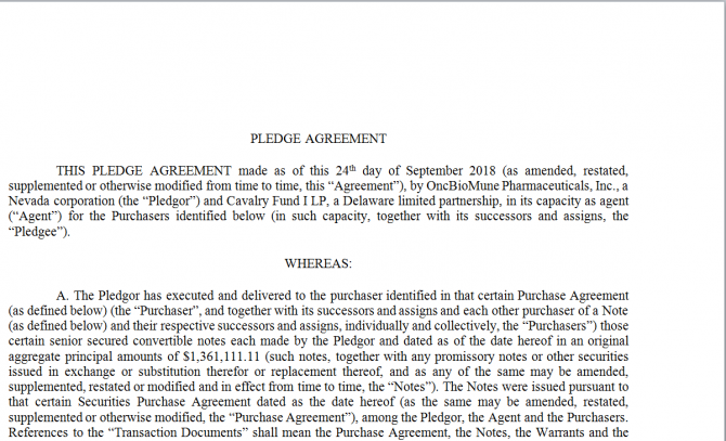 Pledge Agreement. Робочий зразок №6 зображення 1