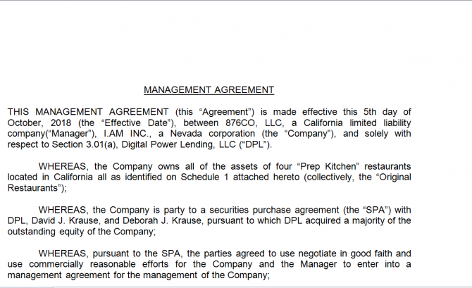 Management Agreement. Робочий зразок №3 зображення 1