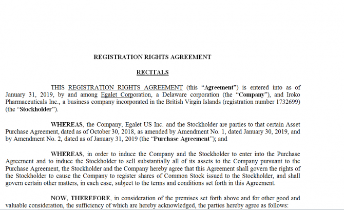 Registration Rights Agreement. Робочий зразок №2 изображение 1