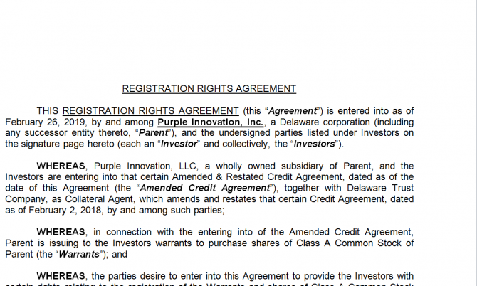 Registration Rights Agreement. Робочий зразок №7 зображення 1