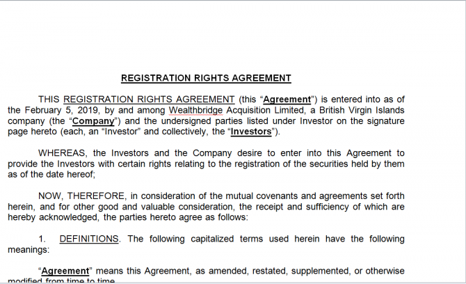 Registration Rights Agreement. Робочий зразок №16 изображение 1