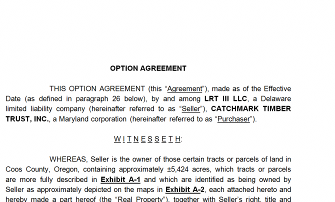 Option Agreement. Робочий зразок №1 зображення 1