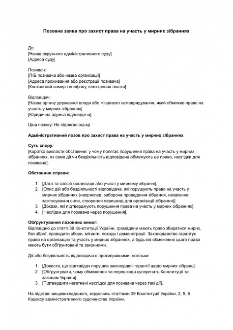 Позовна заява про захист права на участь у мирних зібраннях зображення 1