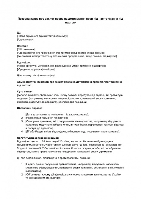 Позовна заява про захист права на дотримання прав під час тримання під вартою зображення 1