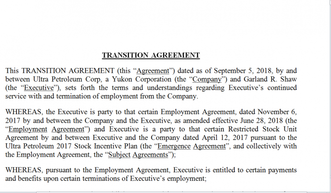 Transition Agreement. Робочий зразок №22