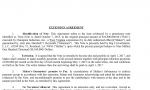 img document