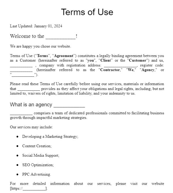 Terms of Use for IT company (на англійській мові) зображення 1