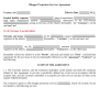Blogger Promotion Services Agreement изображение 1