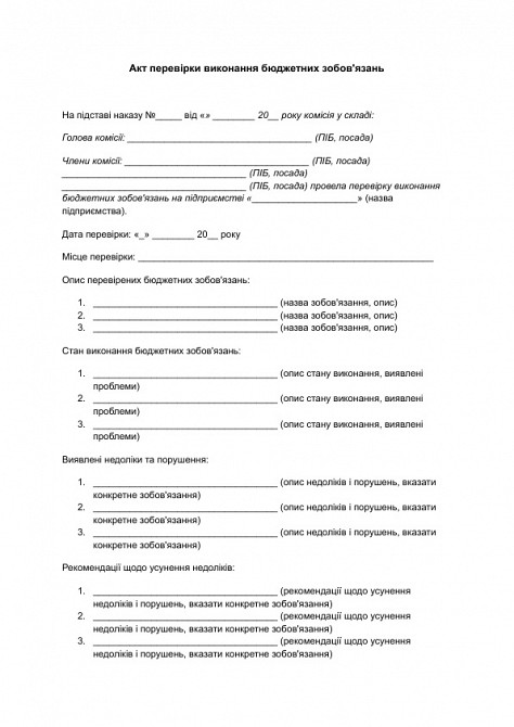 Акт перевірки виконання бюджетних зобов'язань зображення 1